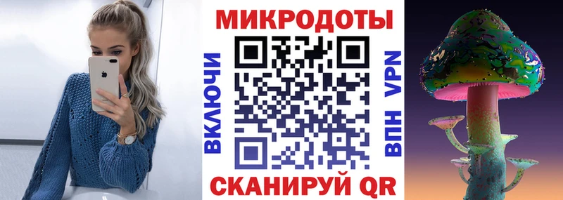 Псилоцибиновые грибы Psilocybine cubensis  Карпинск 